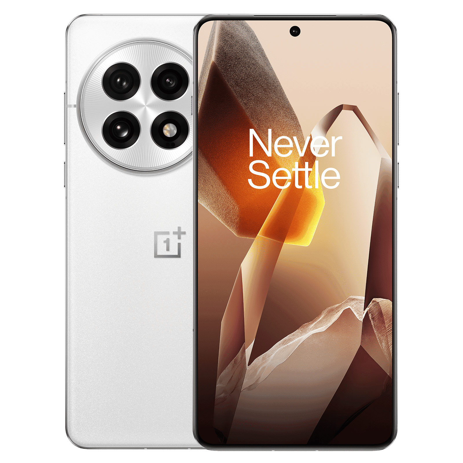 OnePlus 13 5G (12GB RAM, 256GB, Arctic Dawn)