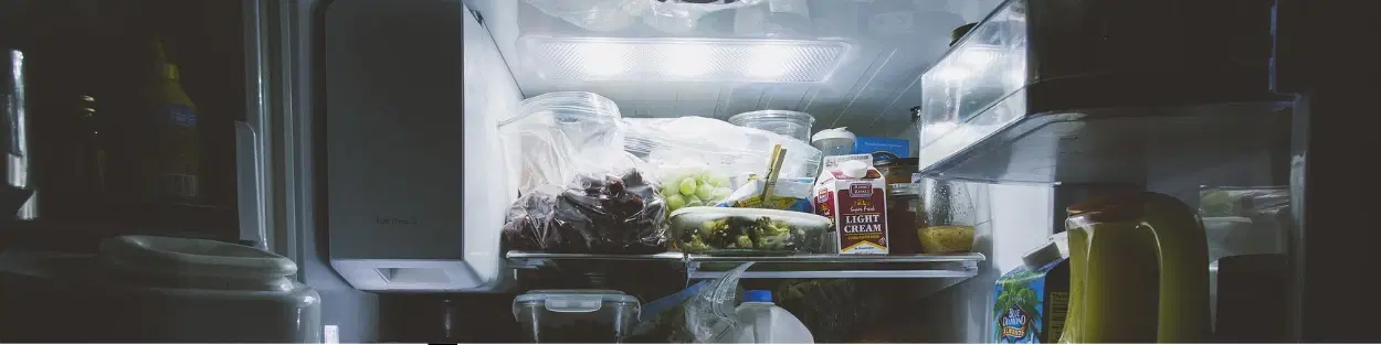 FAQs on How to Change Refrigerator Light Bulb