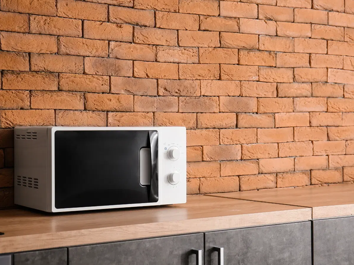 10 Best Ways to Use Convection Mode in Your OTG