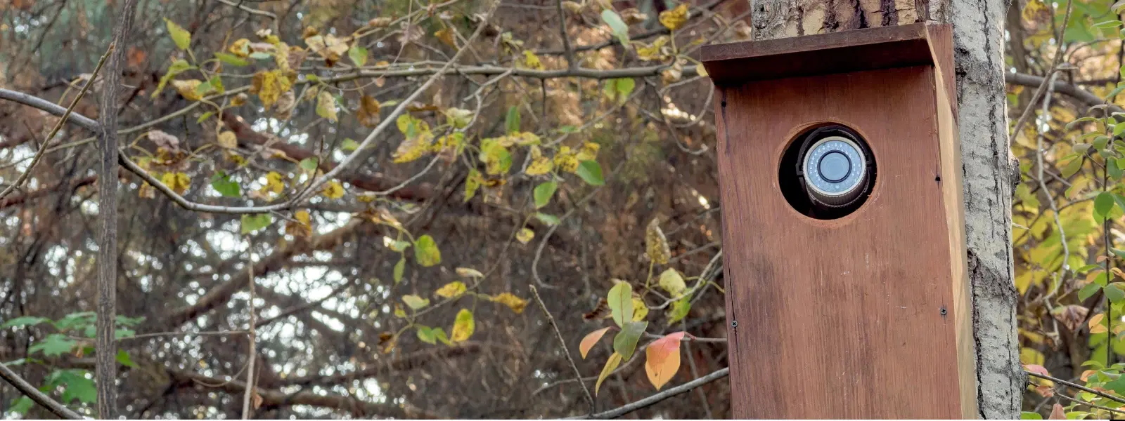 10 Types of Hidden Cameras for Ultimate Home Security