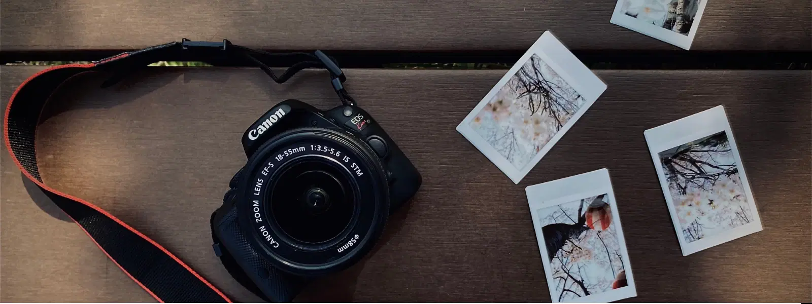 7 Types of Camera Shots: A Guide to Cinematic Mastery