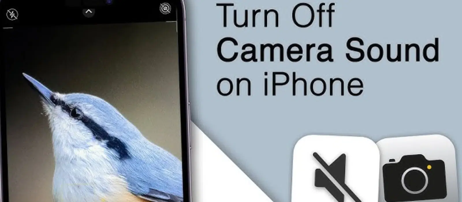 How to Off Camera Shutter Sound in iPhone: Easy Steps
