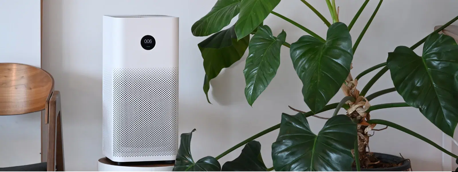 Checklist for Choosing the Best Home Air Purifier