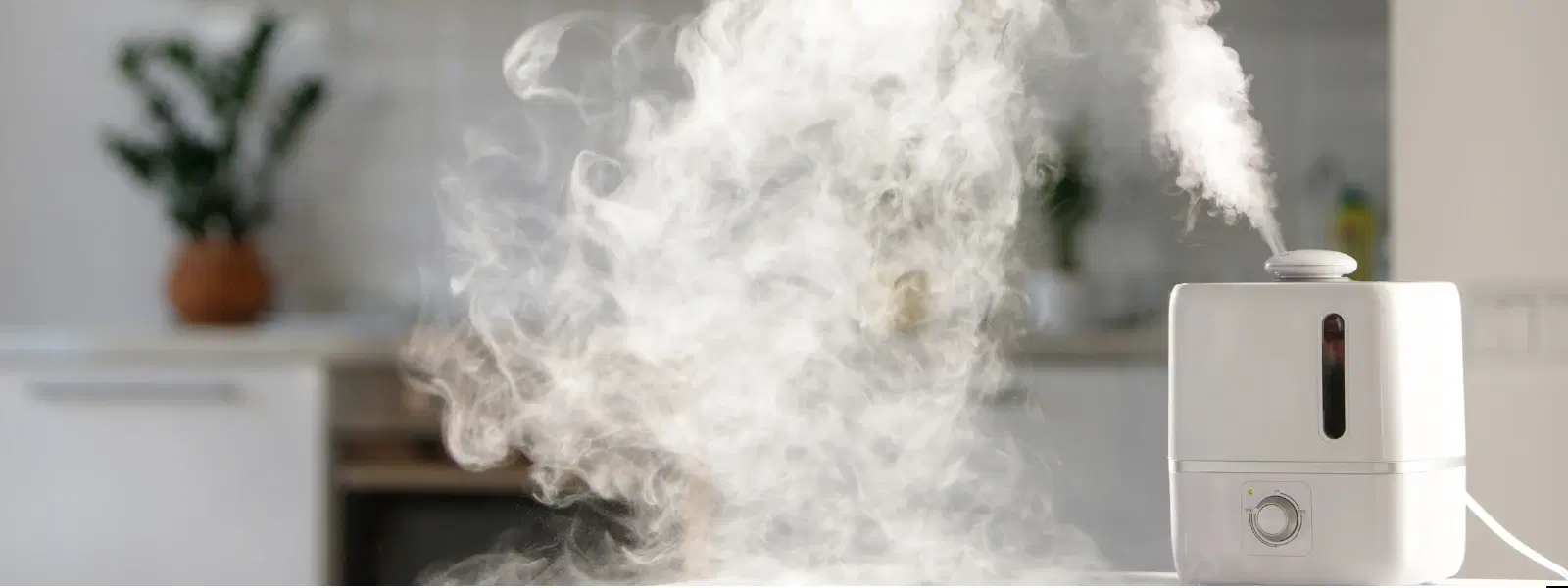 Expert Insights on Dehumidifiers and Air Purifiers