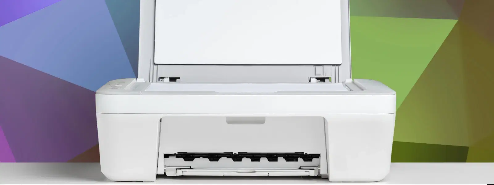 Expert Insights on Printer Costs in India for Every Need