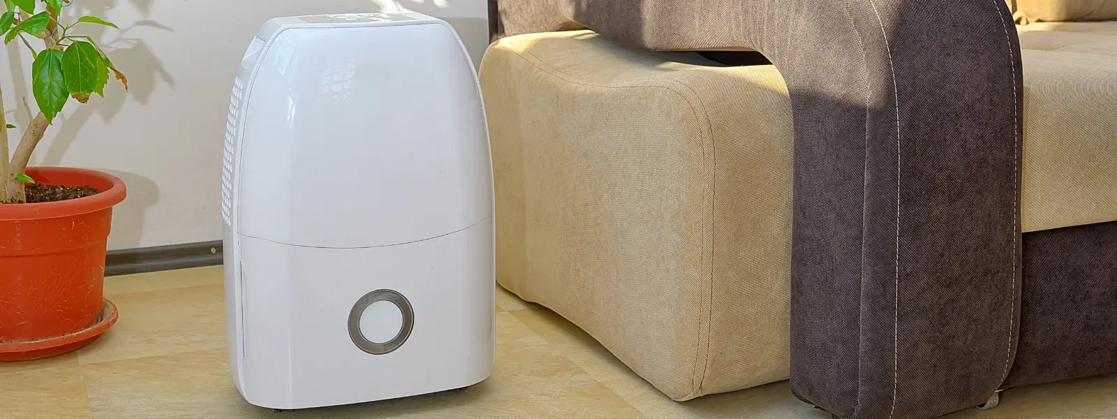 FAQs About Atovio Pebble Air Purifier: Your Guide to Clean Air