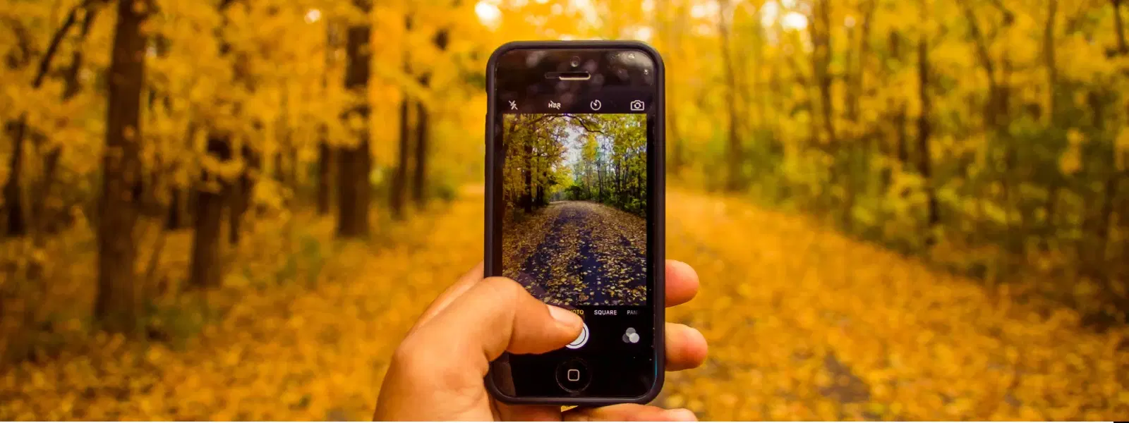 FAQs on iPhone 11 Pro Camera Lens and Photography Tips