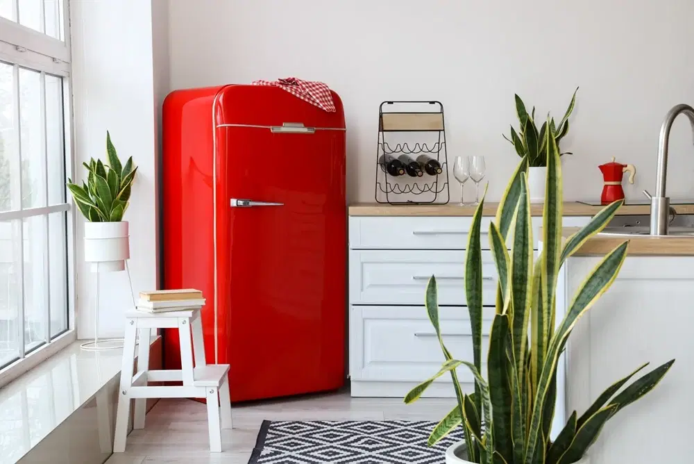 Fridge Capacity FAQs: Choosing the Perfect Size