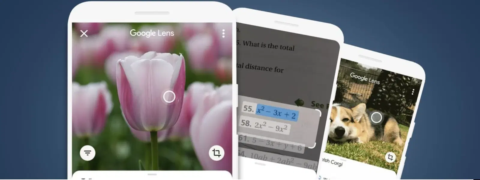 Google Lens Camera FAQs: Your Ultimate Guide to Answers