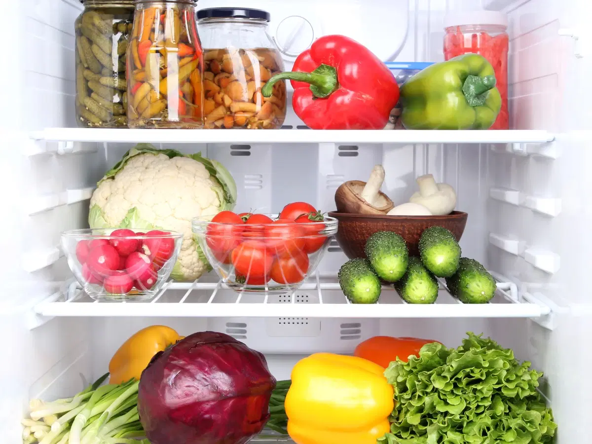 How to Understand What Frost Free Refrigerator Means
