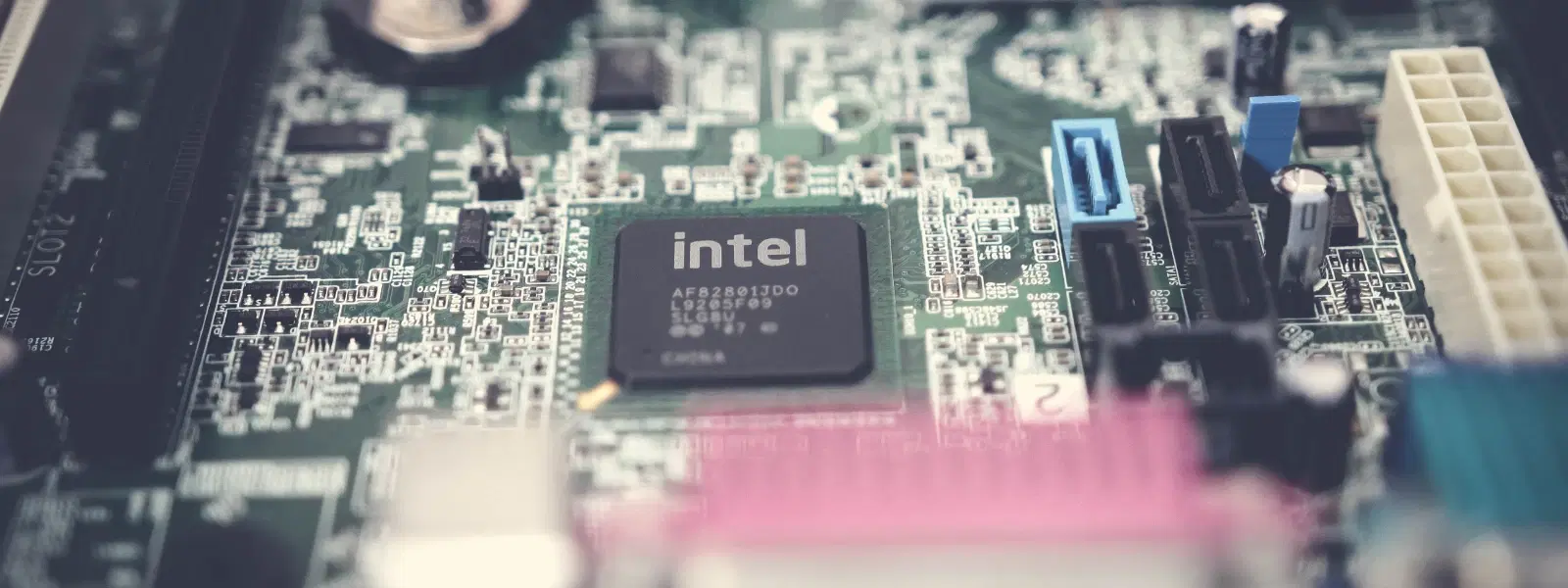 Intel vs AMD vs Nvidia: Which Reigns in Gaming Performance?