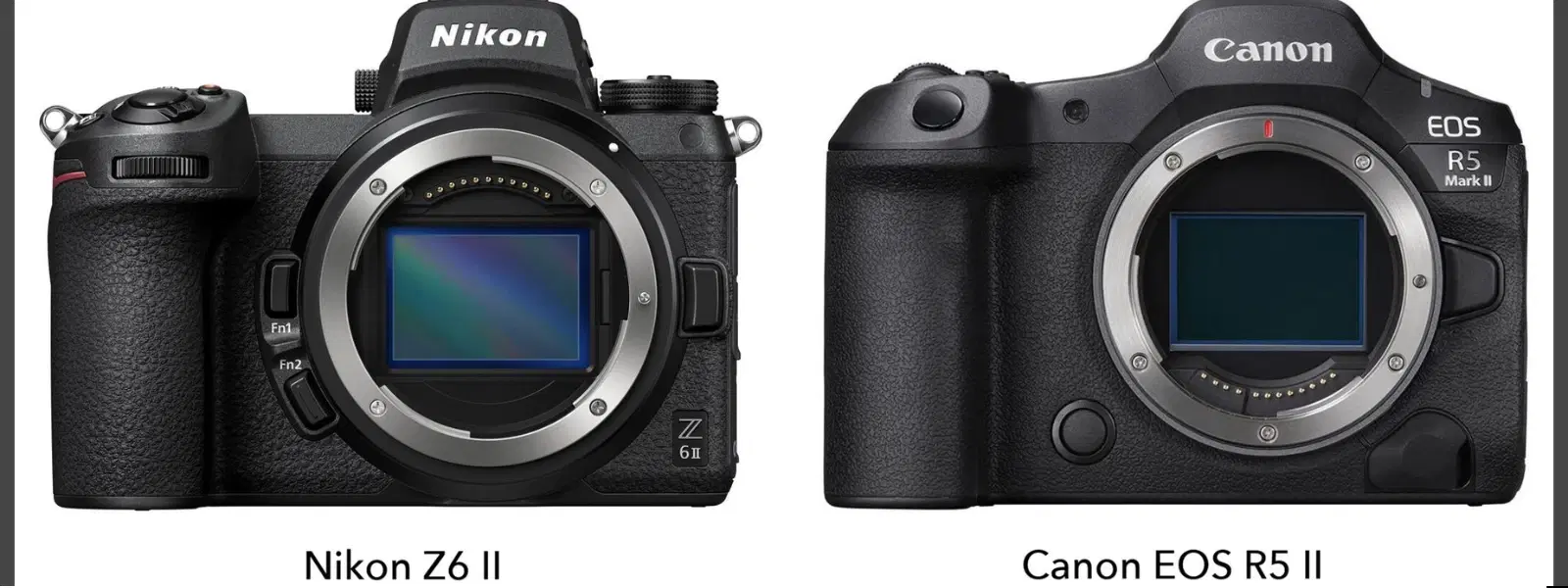 Nikon Z6 vs Canon EOS R: Full-Frame Mirrorless Showdown