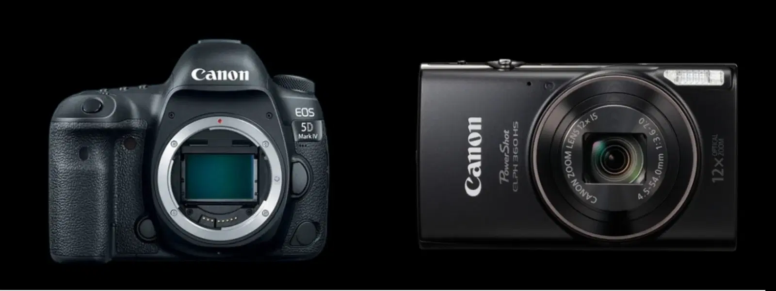 Point and Shoot vs DSLR: Which Camera Fits Your Needs?