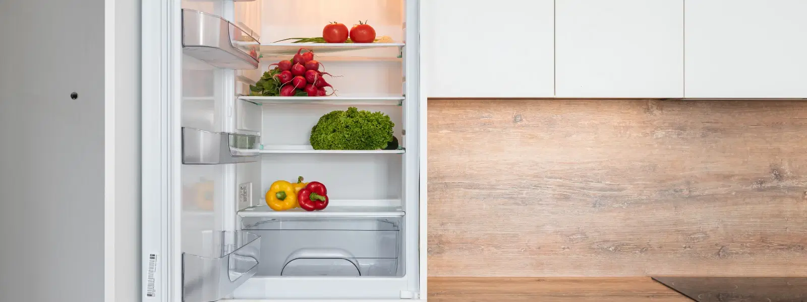 Step-by-Step Guide to Fridge to Freezer Conversion