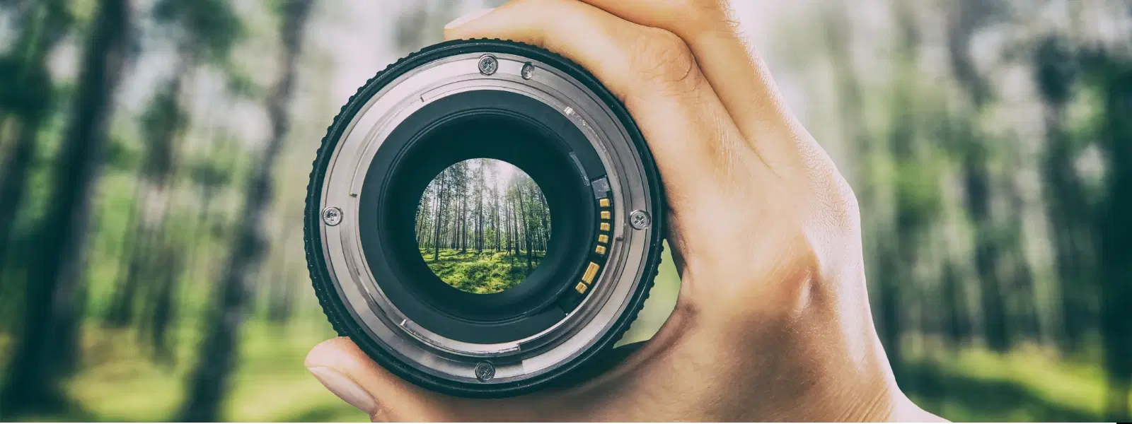 USM vs STM Lens Canon: FAQs for Choosing the Best Fit