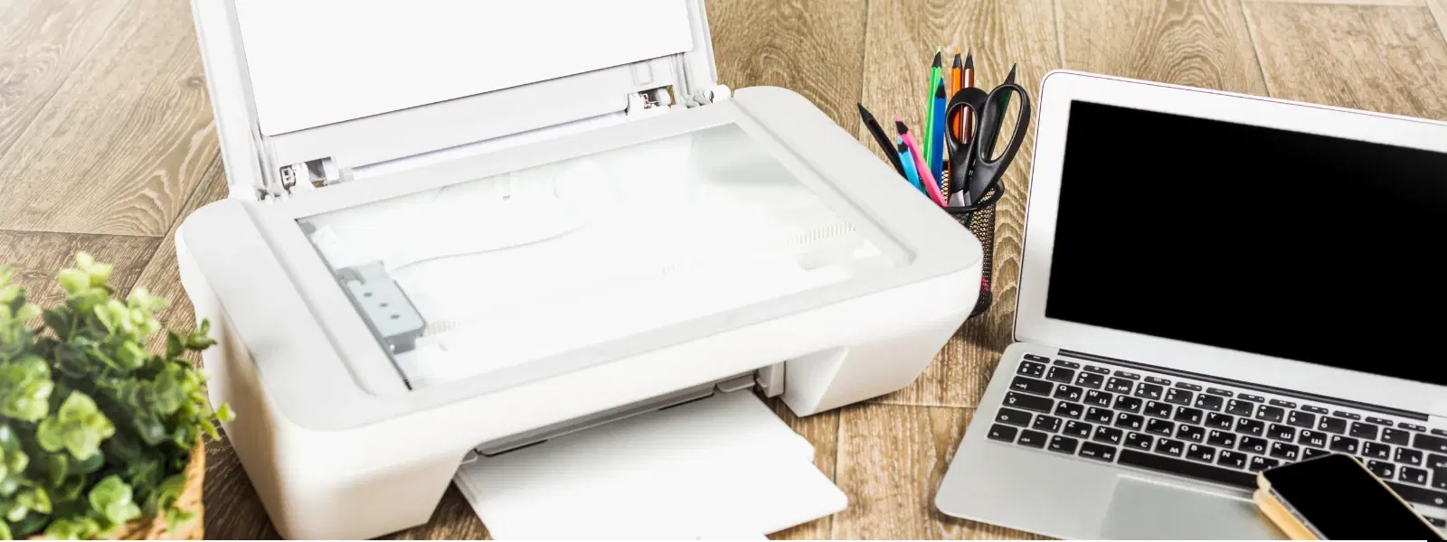 Why Your Printer Isn’t Connecting to Your Laptop: FAQs