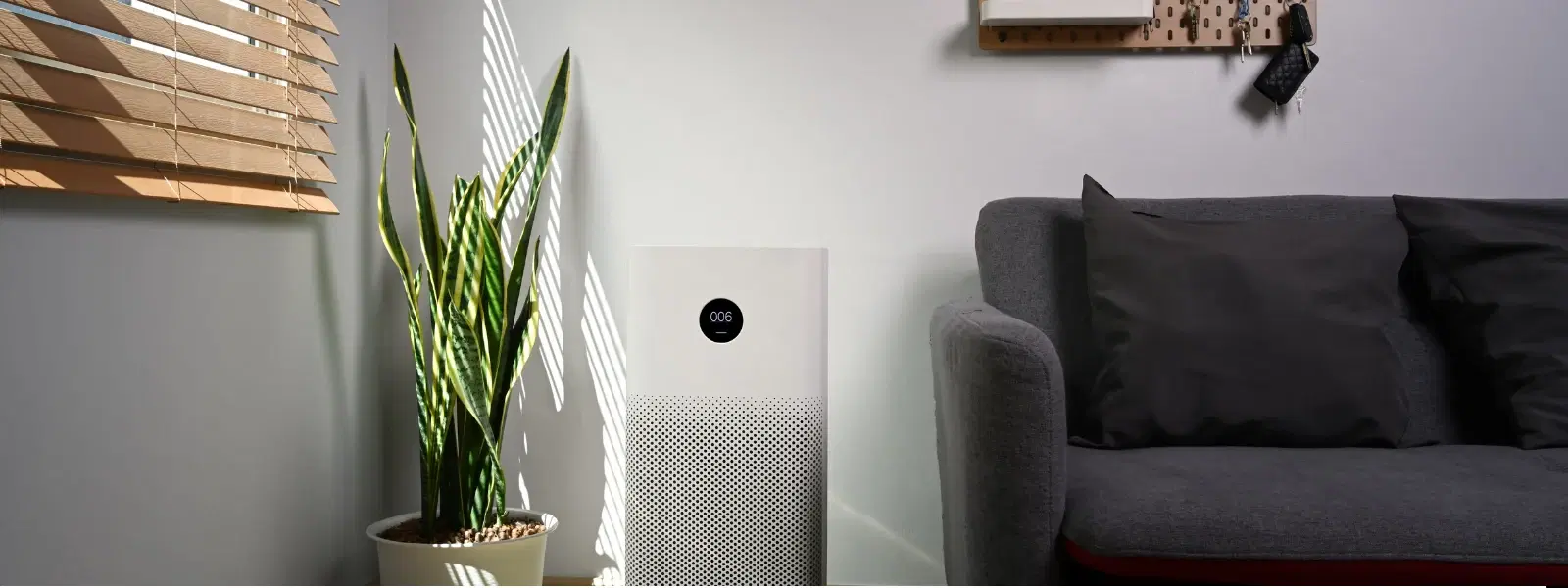Xiaomi Air Purifier Checklist: 10 Must-Know Features