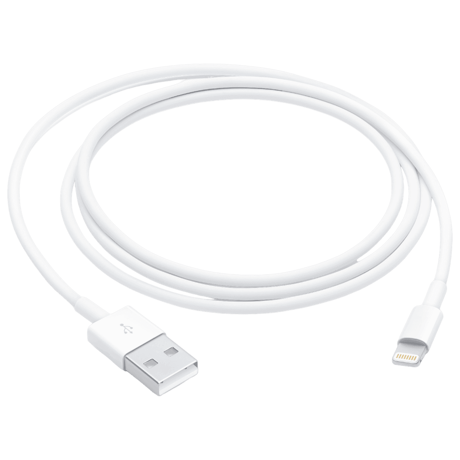 Apple Type A to Lightning 3.2 Feet (1M) Cable (Reversible Design, White)
