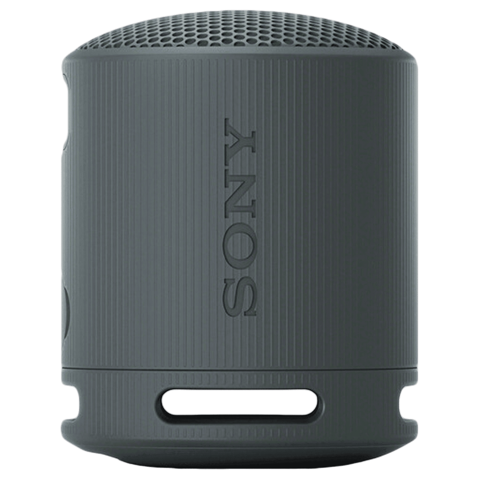SONY SRS-XB100 2.5W Portable Bluetooth Speaker (IP67 Waterproof, 1.0 Channel, Black)