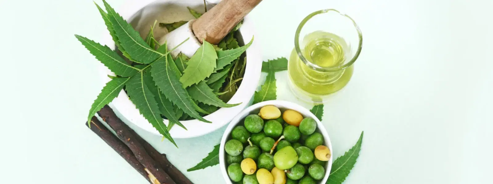 7 Amazing Benefits of Neem Oil for Healthy, Glowing Skin
