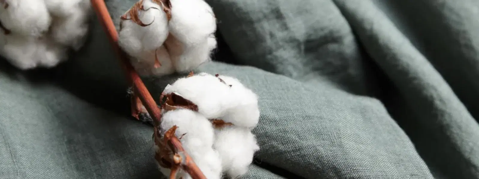 7 Steps to Transform Raw Cotton into Soft, Durable Fabric