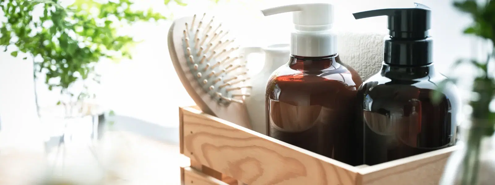 Best Shampoo vs Natural Remedies: Oily Hair Solutions