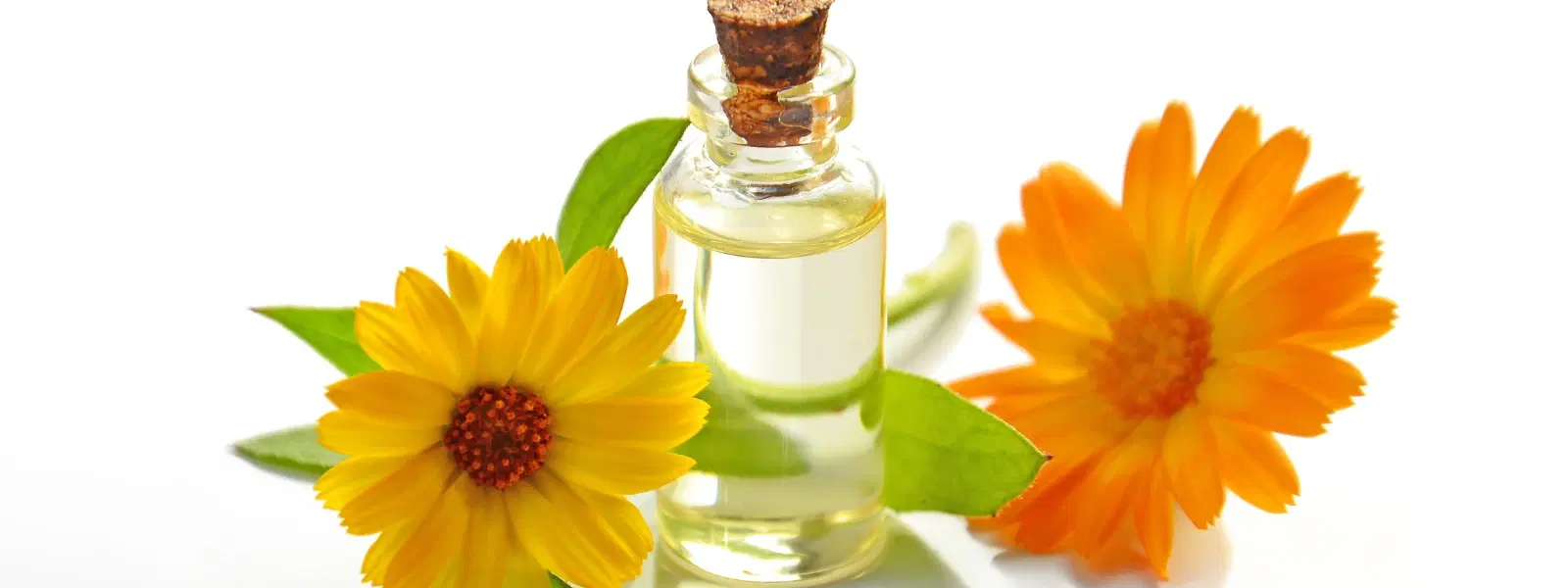 How to Use Hair Oil for Scalp Treatment and Growth