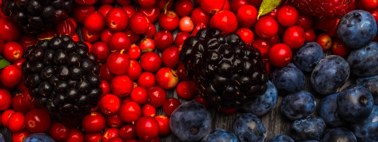 Resveratrol and Skin Benefits: FAQs Answered