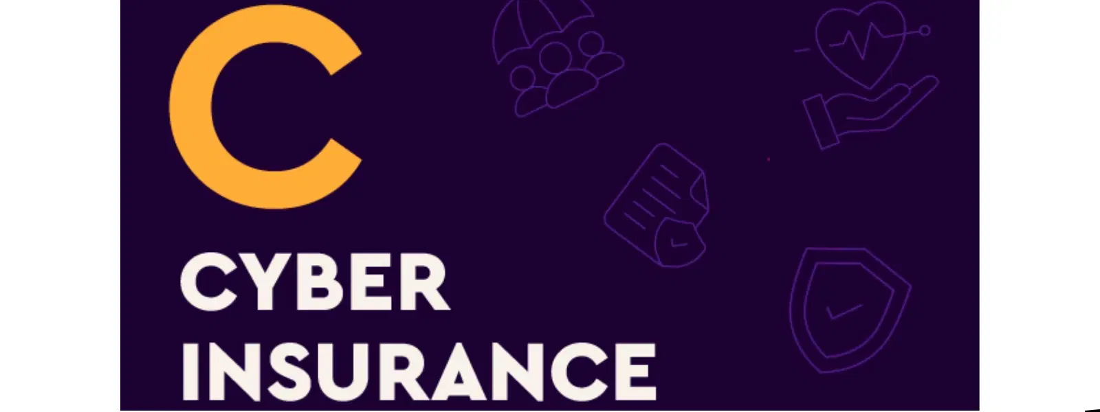 C: Cyber Insurance