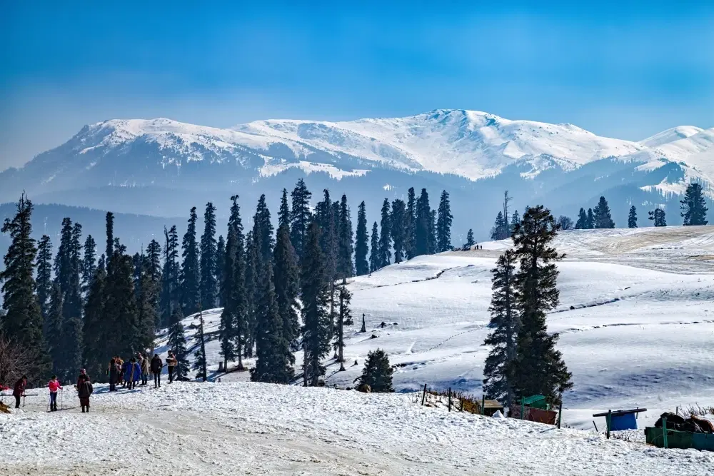 10 Best Months to Visit Gulmarg for Magical Snowfall