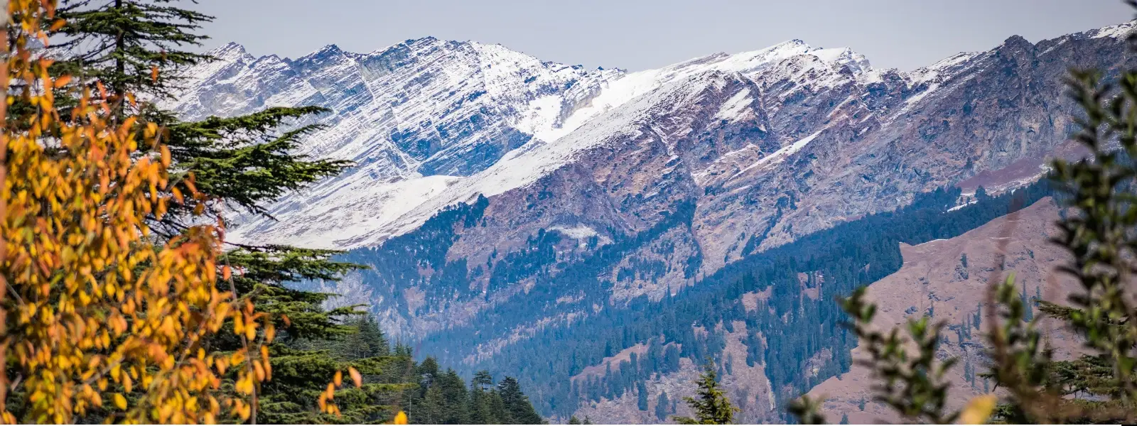 10 Best Months to Visit Mussoorie for Perfect Weather