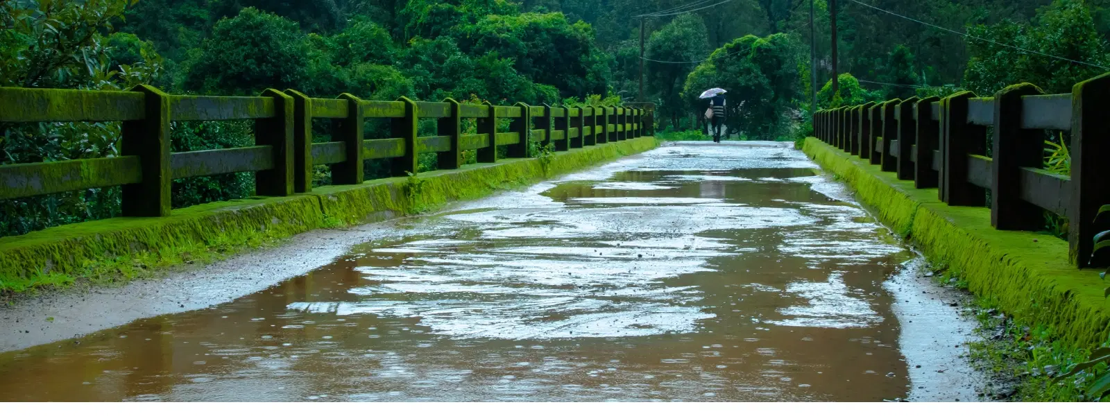 10 Best Places to Visit in July in India for Monsoon Bliss