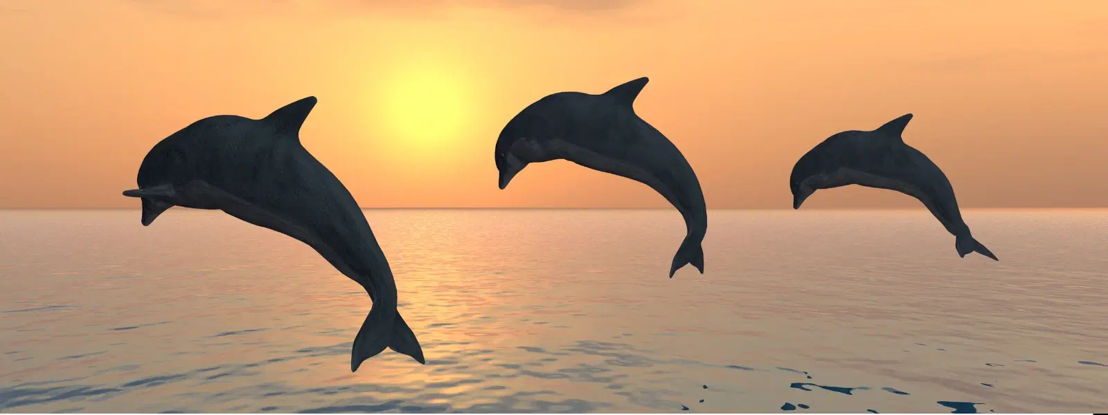 10 Best Sunset Spots in Goa: A Complete Checklist