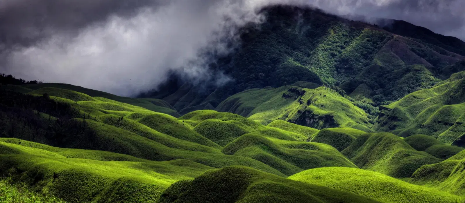 10 Best Times to Visit Chikhaldara for Perfect Weather