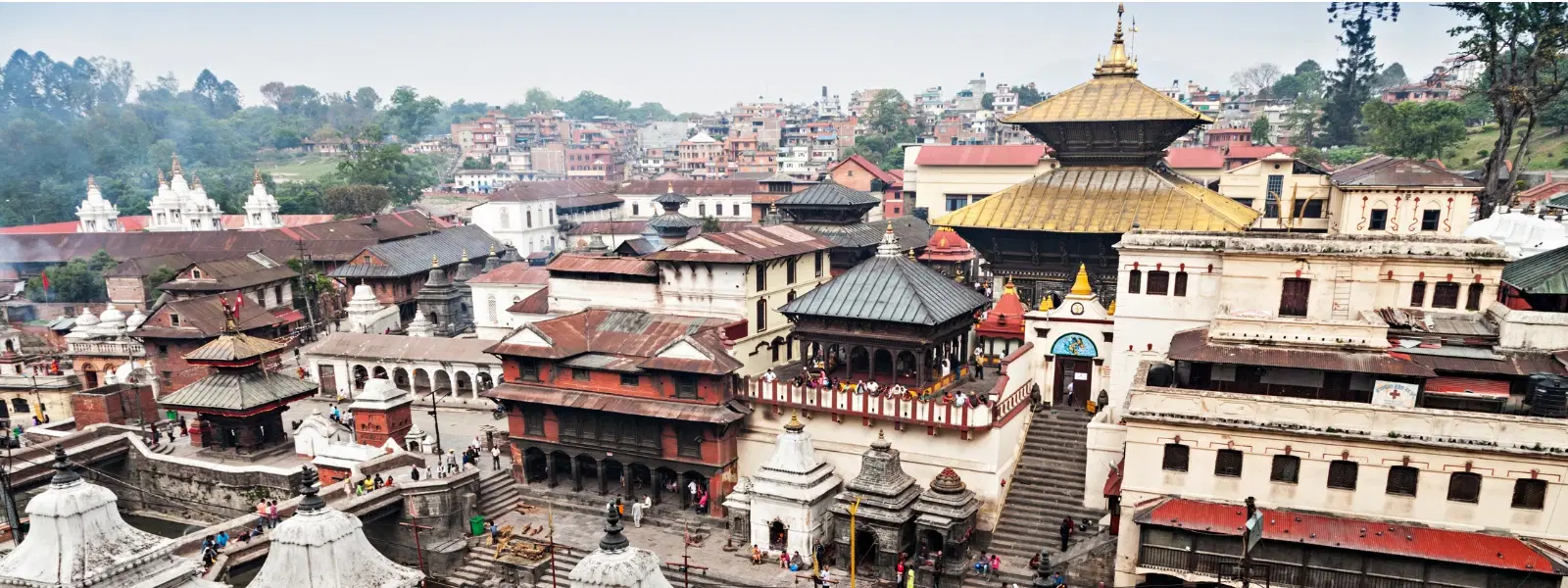 10 Best Times to Visit Pashupatinath Temple Revealed