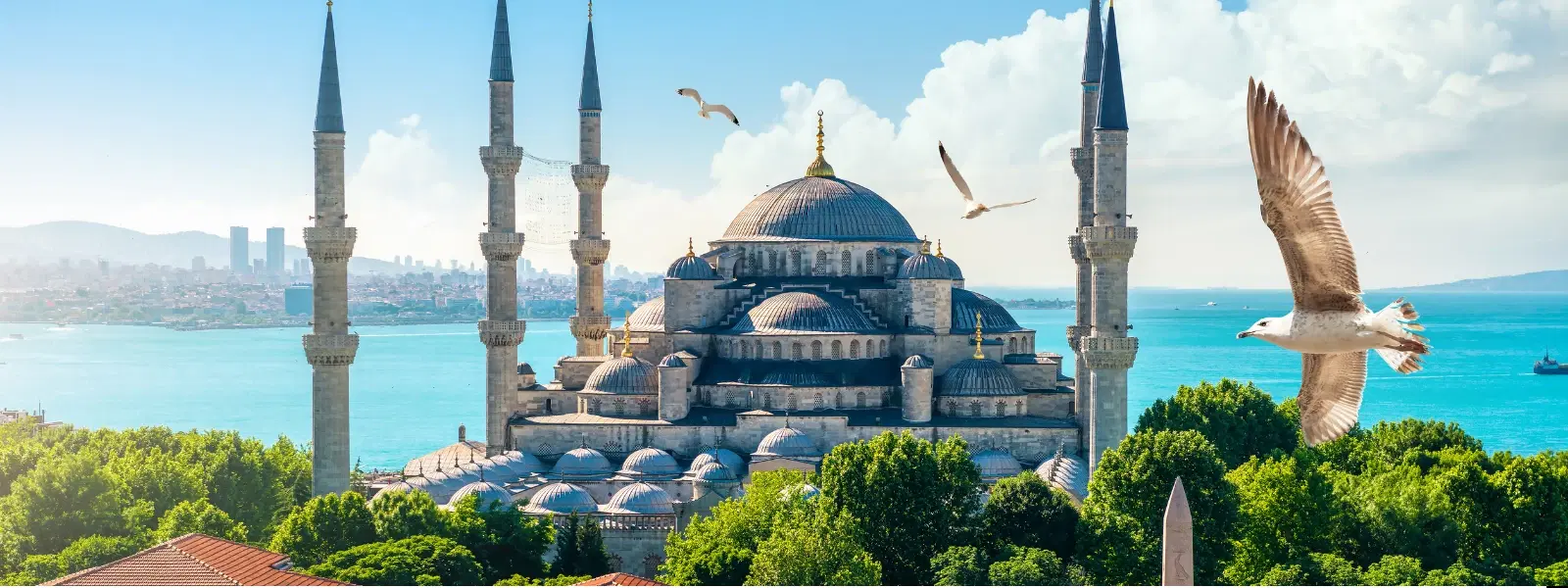 10 Must-Try Street Foods of Istanbul for Food Lovers