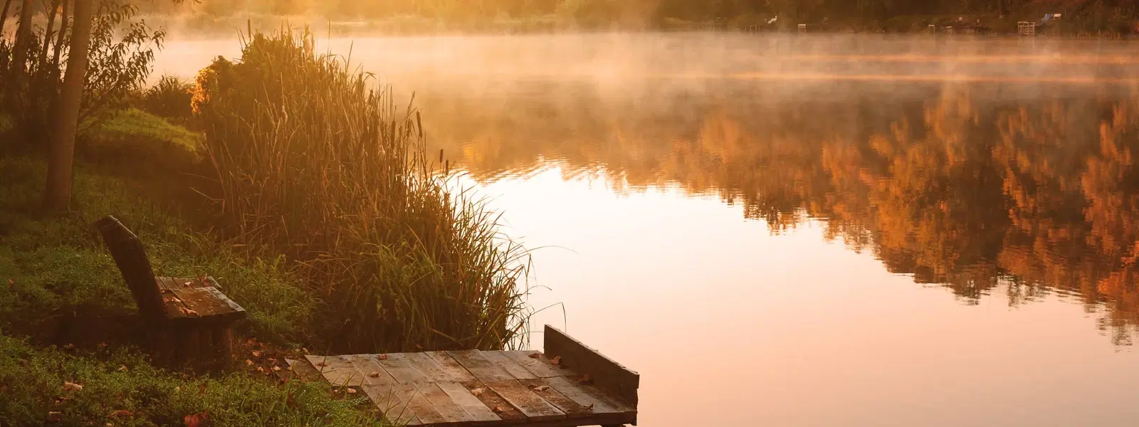 10 Must-Visit Attractions Around Palair Lake, Telangana