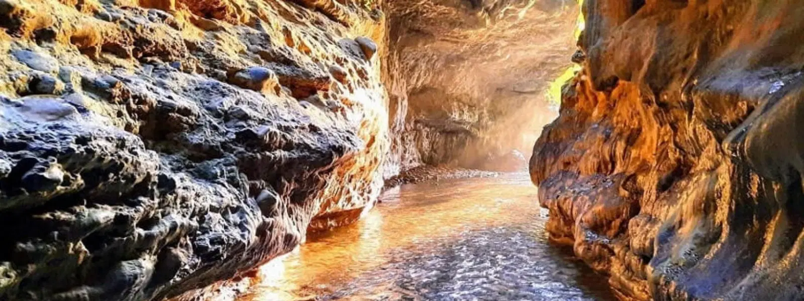 10 Must Visit Places in Dehradun for Every Traveler