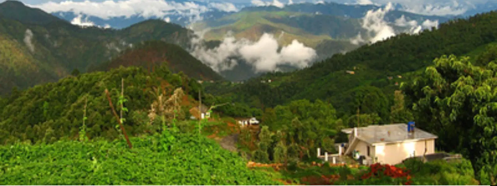 10 Must-Visit Places in Lohaghat: Top Hotels to Stay Nearby