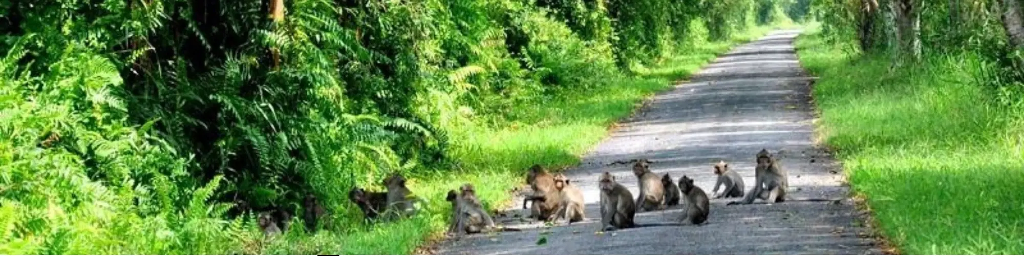 10 Must-Visit Places in Phu Quoc: Top Attractions Guide