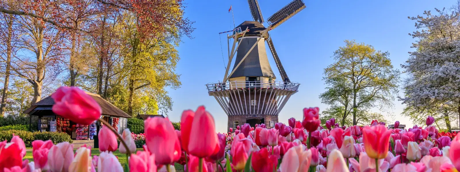 10 Stunning Valleys with Orchid Farms to Visit