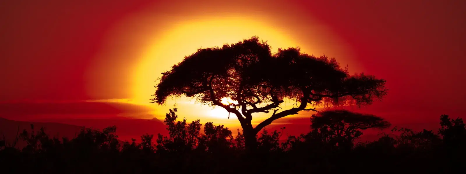 10 Unique Places to Visit in South Africa: A Checklist