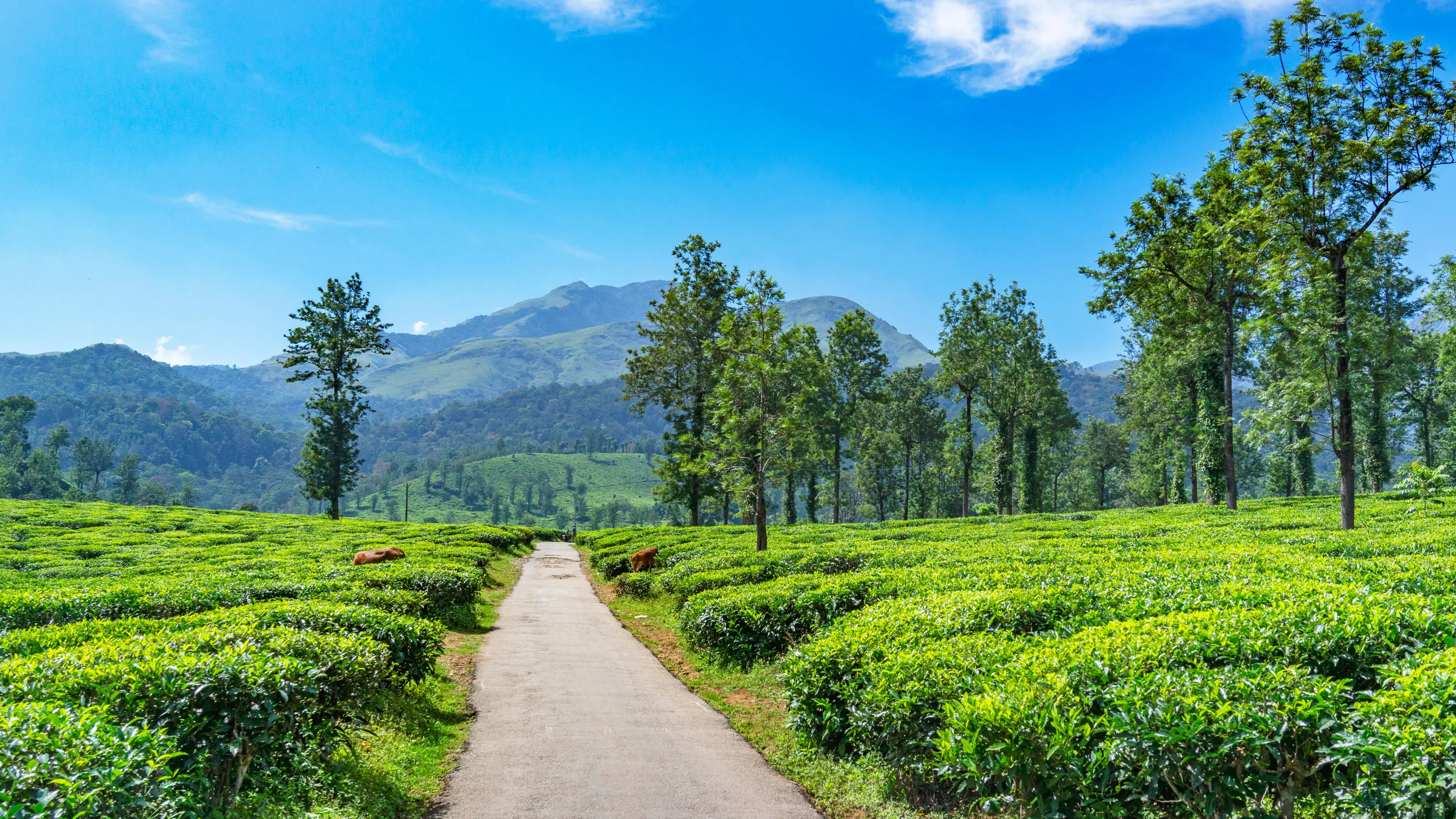 10 Must-See Places to Visit in North Kerala