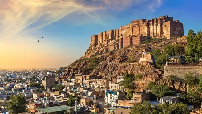 FAQ: Exploring Mount Abu's Famous Food and Local Delights