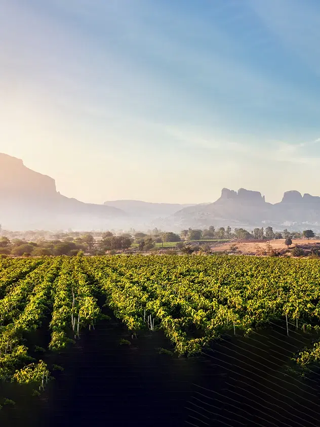 Top 10 Places to Visit in Maharashtra in Monsoon for 2 Days