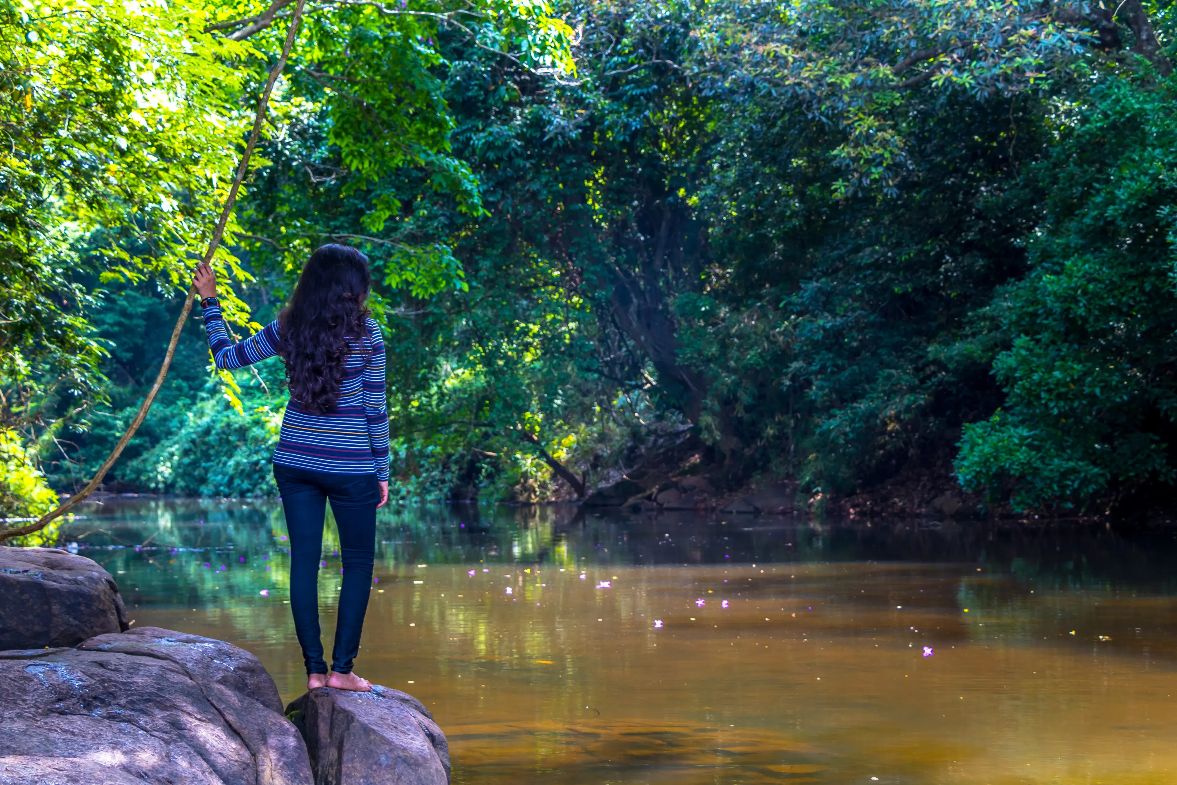 7 Best Monsoon Getaways Near Vadodara for a Rainy Retreat