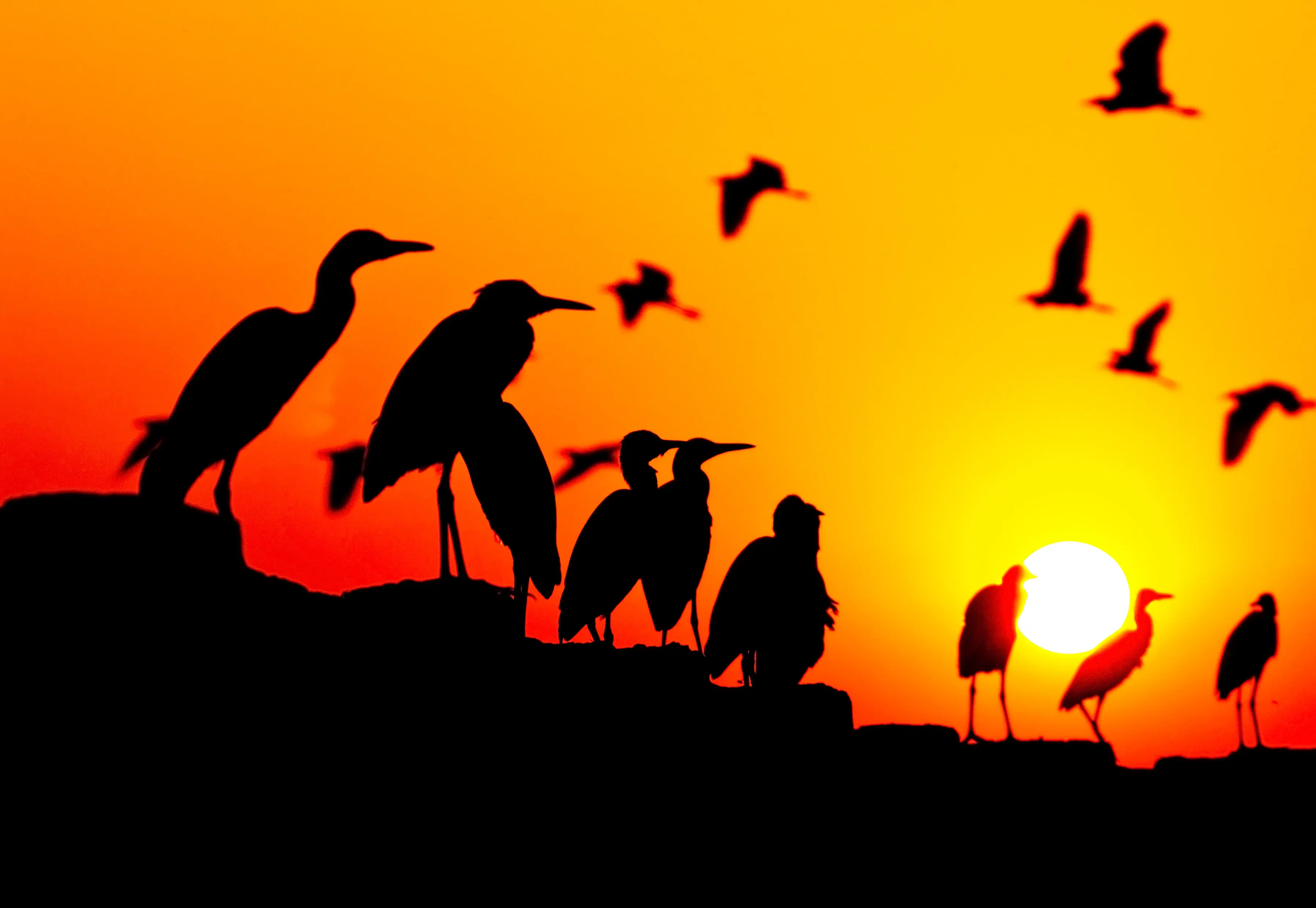 10 Must-See Places to Visit in Mainpat for Every Traveler