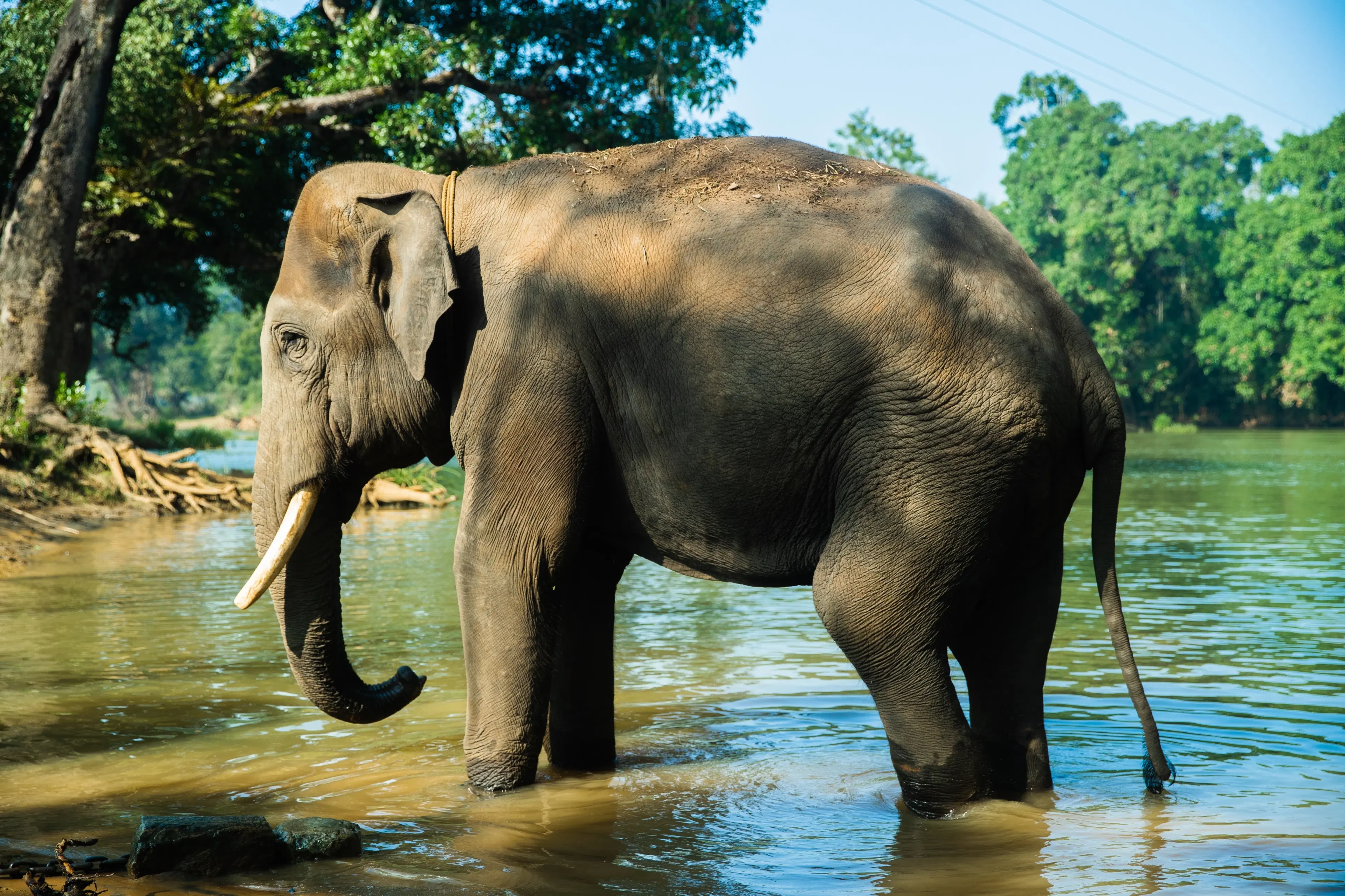 10 Must-Visit Places in Pathanamthitta for Every Traveler