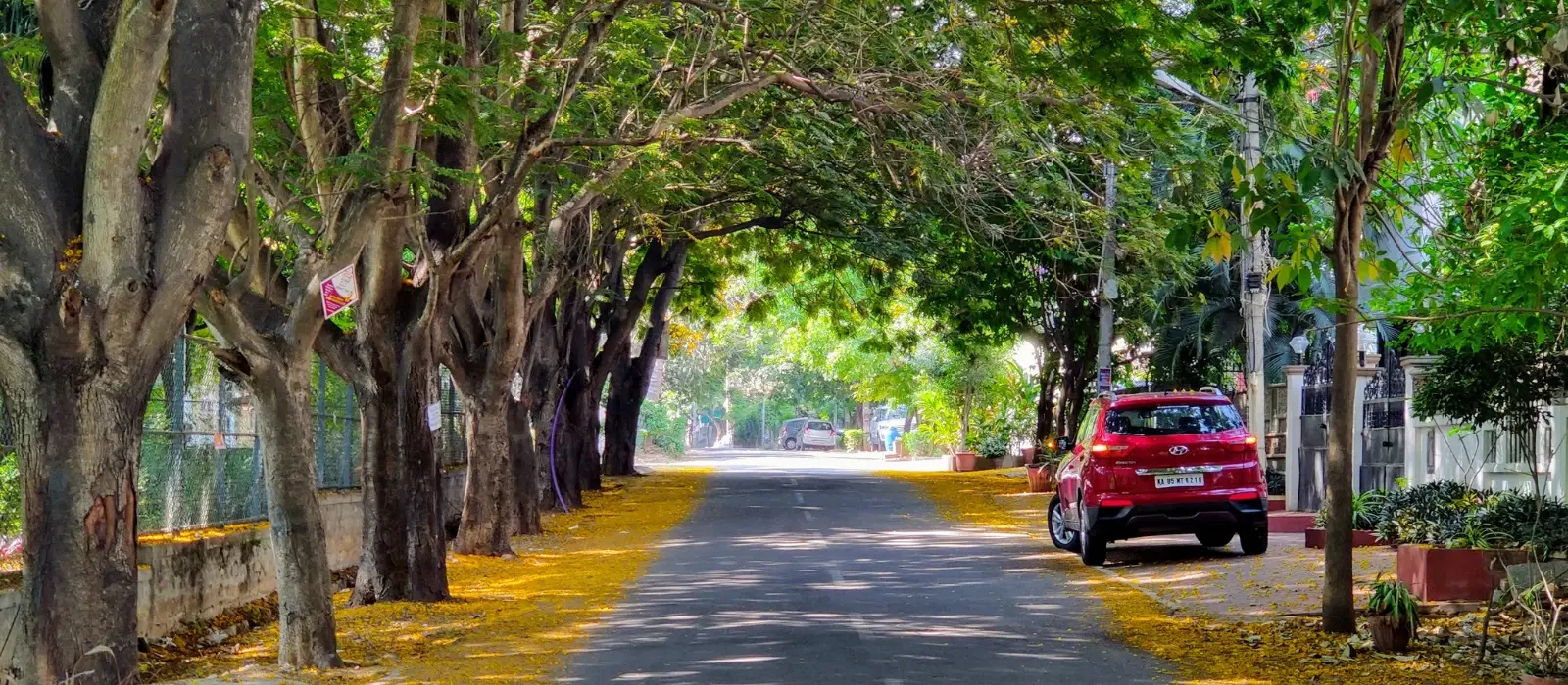 10 Must-Visit Places in Whitefield for an Unforgettable Trip