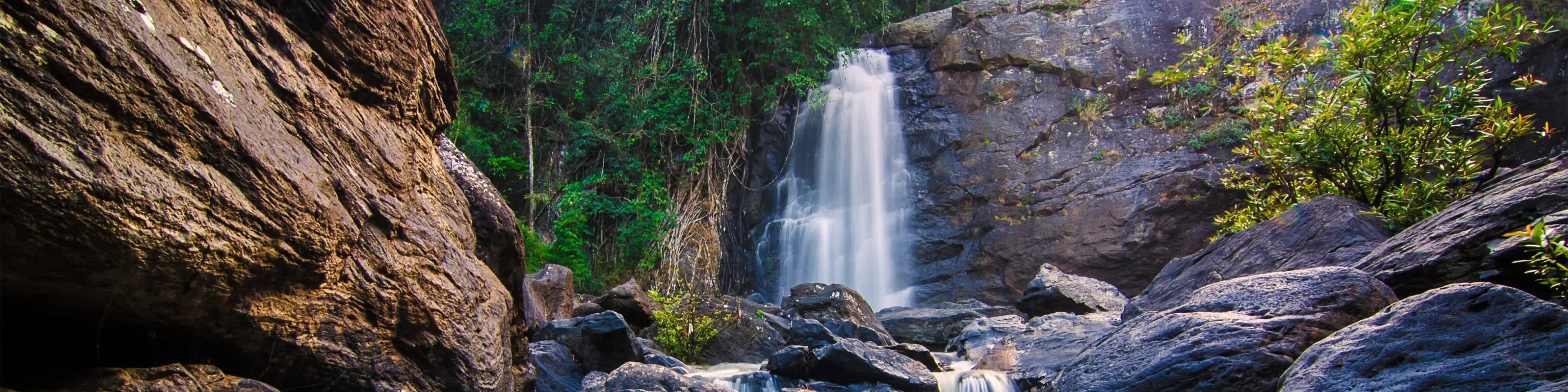 10 Best Places to Visit in Wayanad for an Unforgettable Trip